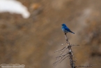 Bild00297.jpg