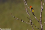 Bild00304.jpg
