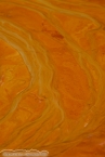 Bild00317.jpg