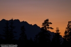 Bild00381.jpg