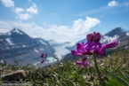 Bild00423.jpg