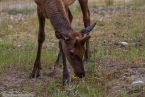 Bild00436.jpg