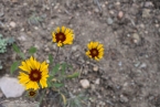 Bild00464.jpg