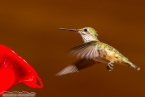 Bild00490.jpg