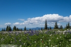 Bild00498.jpg