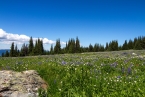 Bild00499.jpg