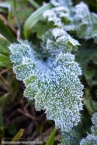Bild00031.jpg