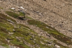 Bild00080.jpg