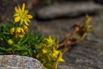 Bild00084.jpg