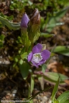 Bild00089.jpg