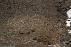 Bild00090.jpg