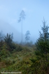 Bild00095.jpg