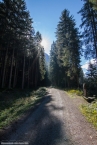 Bild00100.jpg