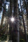 Bild00102.jpg