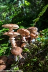 Bild00104.jpg