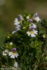 Bild00107.jpg