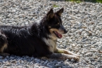 Bild00109.jpg