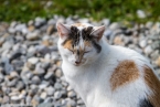 Bild00110.jpg