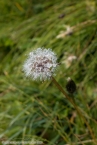 Bild00003.jpg