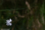 201511_herbst_015