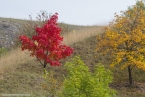 201511_herbst_019