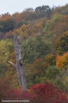 201511_herbst_024