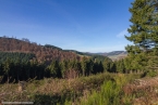 201511_herbst_043