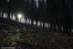 201511_herbst_047
