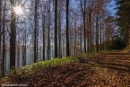 201511_herbst_058