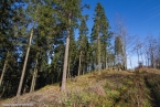 201511_herbst_060