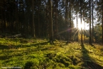 201511_herbst_037