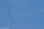 201511_herbst_040
