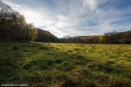 201511_herbst_069