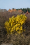 201511_herbst_070