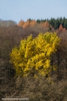 201511_herbst_070