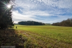 201511_herbst_095
