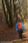 201511_herbst_099