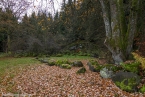 201511_herbst_103