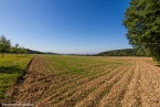 201609_bleidenbacher_08