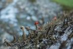 201609_hohetauern_005
