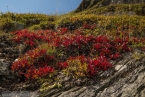 201609_hohetauern_050