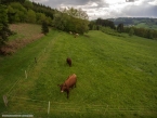 DJI_0005