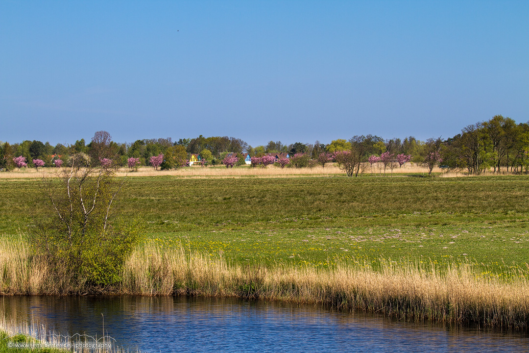 20160504_ostsee_prerow_darss_32