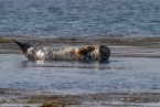 201606_scotland_sw2nw_044