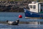 201606_scotland_sw2nw_048