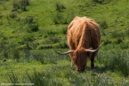 201606_scotland_sw2nw_049
