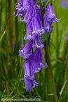 201606_scotland_sw2nw_064