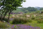 201606_scotland_sw2nw_065