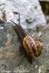 201606_scotland_sw2nw_067
