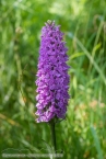201606_scotland_sw2nw_088